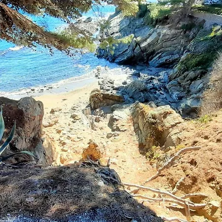 Amplio En Con Vista Al Mar, Terraza, Aparcamiento Y Animales Permitidos - Es-170-6 * Llanca